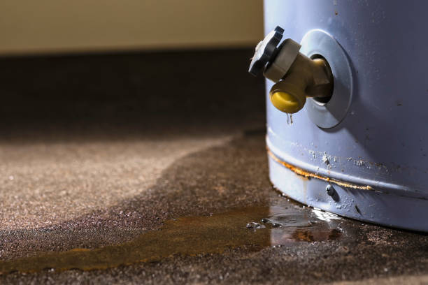  Sibley, LA Water damage restoration Pros