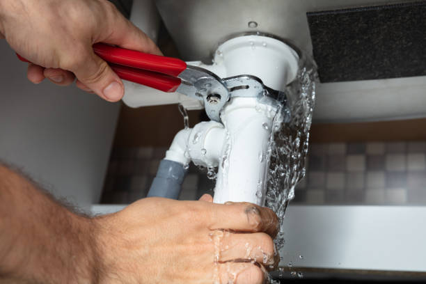 Best Professional water damage repair  in Sibley, LA