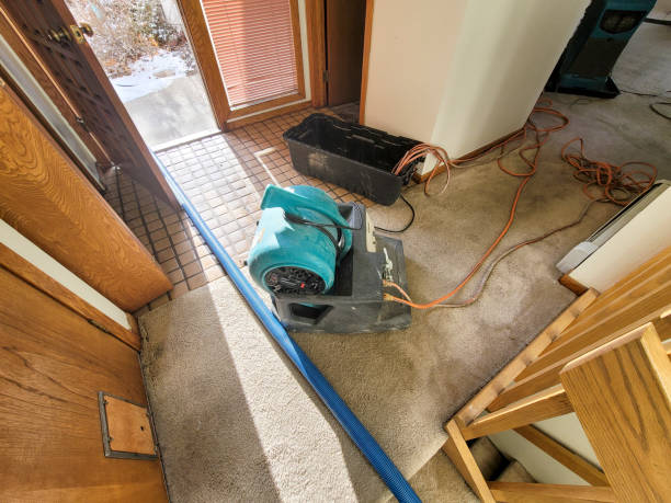 Best Commercial water damage restoration  in Sibley, LA