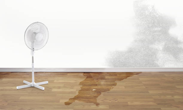 Best Fire Damage Restoration  in Sibley, LA