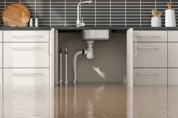 Best Flood damage cleanup  in Sibley, LA