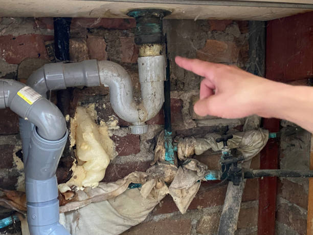 Best Mold removal after water damage  in Sibley, LA