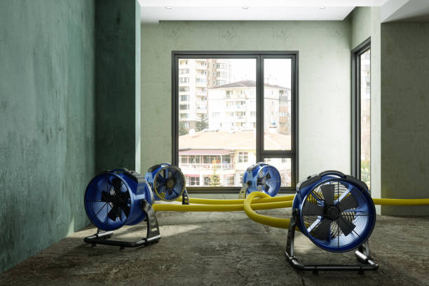 Best Carpet water damage restoration  in Sibley, LA